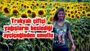 TRAKYALI ÇİFTÇİ, YAĞIŞLARIN BESLEDİĞİ AYÇİÇEĞİNDEN UMUTLU