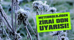 METEOROLOJİDEN ZİRAİ DON UYARISI!