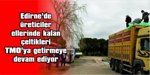 EDİRNE’DE ÜRETİCİLER ELLERİNDE KALAN ÇELTİKLERİ TMO’YA GETİRMEYE DEVAM EDİYOR