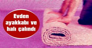 EVDEN AYAKKABI VE HALI ÇALINDI