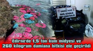 EDİRNE’DE 1,5 TON KUM MİDYESİ VE 260 KİLOGRAM DAMİANA BİTKİSİ ELE GEÇİRİLDİ