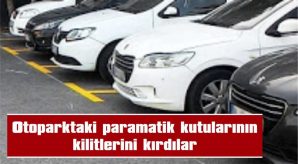 OTOPARKTAKİ PARAMATİK KUTULARININ KİLİTLERİNİ KIRDILAR