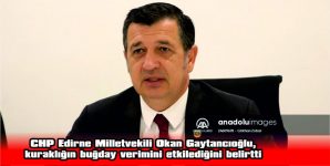 GAYTANCIOĞLU, KURAKLIĞIN BUĞDAY VERİMİNİ ETKİLEDİĞİNİ BELİRTTİ