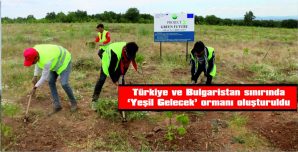 İKİ ÜLKENİN SINIRINDA 40’AR DÖNÜMLÜK ALANLARDA YEŞİL GELECEK ORMANI KURULDU