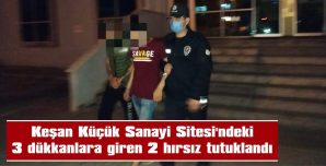 2 HIRSIZ TUTUKLANARAK CEZAEVİNE GÖNDERİLDİ