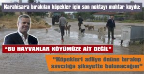 “BİZ YAVRU KÖPEK TESLİM ETTİK, ONLAR BİZE BÜYÜK KÖPEKLERİ GETİRİP BIRAKMIŞ”