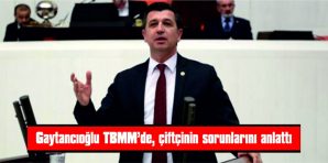 GAYTANCIOĞLU: “İNSANIN İNEĞİ HACZEDİLİR Mİ?”