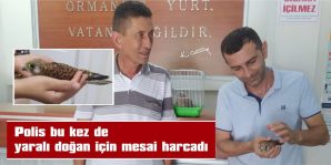 POLİS BU KEZ DE YARALI DOĞAN İÇİN MESAİ HARCADI