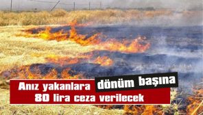 ANIZ YAKANLARA DÖNÜM BAŞINA 80 LİRA CEZA VERİLECEK