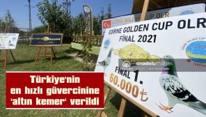 EDİRNE’DE ‘GOLDEN CUP ORTAK KÜMES FİNAL YARIŞMASI’ DÜZENLENDİ