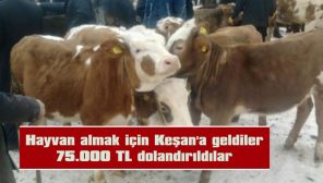 75.000 TL DOLANDIRILDILAR