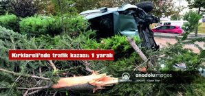 OTOMOBİL AĞAÇLARA ÇARPARAK YAN DÖNDÜ