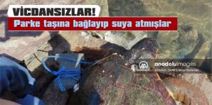 KOLUNA PARKE TAŞI BAĞLANARAK DENİZE BIRAKILAN CARETTA CARETTA KURTARILDI