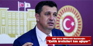 GAYTANCIOĞLU: “ÇELTİK ÜRETİCİLERİ KAN AĞLIYOR”