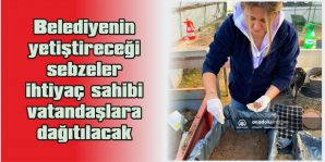 BELEDİYENİN YETİŞTİRECEĞİ SEBZELER İHTİYAÇ SAHİBİ VATANDAŞLARA DAĞITILACAK