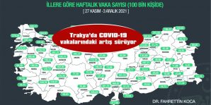 TÜRKİYE GENELİNDE EN ÇOK VAKA GÖRÜLEN İL İSE ÇANAKKALE OLDU