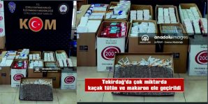 TEKİRDAĞ’DA ÇOK MİKTARDA KAÇAK TÜTÜN VE MAKARON ELE GEÇİRİLDİ