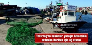 TEKİRDAĞ’DA BALIKÇILAR YASAĞIN BİTMESİNİN ARDINDAN KARİDES İÇİN AĞ ATACAK