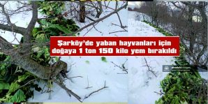 ŞARKÖY’DE YABAN HAYVANLARI İÇİN DOĞAYA 1 TON 150 KİLO YEM BIRAKILDI