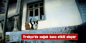 TRAKYA’DA SOĞUK HAVA ETKİLİ OLUYOR