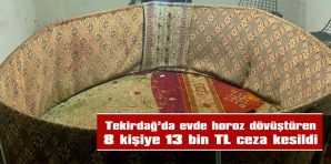 TEKİRDAĞ’DA EVDE HOROZ DÖVÜŞTÜREN 8 KİŞİYE 13 BİN LİRA CEZA UYGULANDI