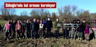 SÜLOĞLU’NDA BAL ORMANI KURULUYOR