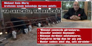 “ŞARTLAR DEĞIŞMEZSE HAYVANCILIĞI DA BIRAKACAĞIM”