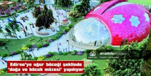 EDİRNE’YE UĞUR BÖCEĞİ ŞEKLİNDE “DOĞA VE BÖCEK MÜZESİ” YAPILIYOR