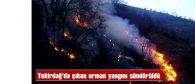 TEKİRDAĞ’DA ÇIKAN ORMAN YANGINI SÖNDÜRÜLDÜ