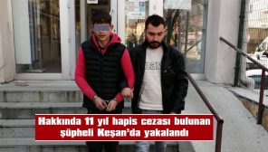 3 MAHALLEDE YAYA VE ARAÇ DENETİMİ YAPILDI