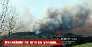 ÇANAKKALE’DE ORMAN YANGININA MÜDAHALE EDİLİYOR