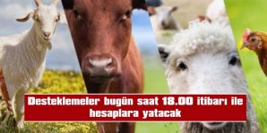 EDİRNE GENELİNDE 4.060 YETİŞTİRİCİ TOPLAM 9.226.214 TL DESTEKLEME ALACAK