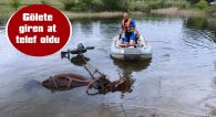 İŞ MAKİNESİ YARDIMIYLA GÖLDEN ÇIKARILDI