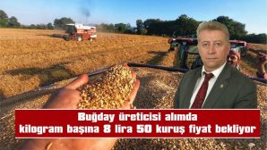 BUĞDAY ÜRETİCİSİ ALIMDA KİLOGRAM BAŞINA 8 LİRA 50 KURUŞ FİYAT BEKLİYOR