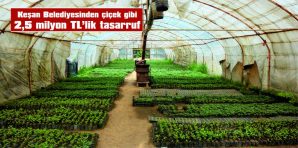 BU YIL SERALARDA 640 BİN ÇİÇEK ÜRETİLDİ