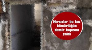 HIRSIZLAR DEMİR KAPILARI ÇALMAYA BAŞLADI