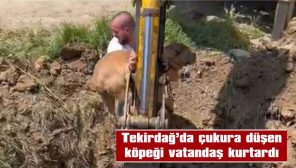 İŞ MAKİNESİNİN KEPÇESİNE BİNEREK KÖPEKLE ÇUKURDAN ÇIKTI