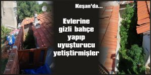 UYUŞTURUCU YETİŞTİREN İKİ ŞÜPHELİ TUTUKLANDI