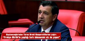 GAYTANCIOĞLU: “TARIM KREDİ KOOPERATİFLERİ GÖREVİNİ YAPSIN”