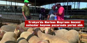 TRAKYA’DA KURBAN BAYRAMI ÖNCESİ SATICILAR HAYVAN PAZARINDA YERİNİ ALDI