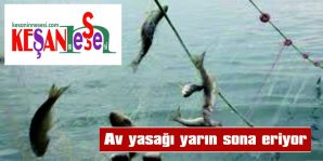 15 NİSAN’DAN BU YANA TROL VE GIRGIR İLE AVCILIK YASAKTI