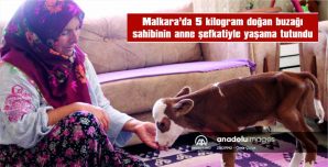 5 KİLOGRAM DOĞDU, 7,5 KİLOGRAMA ULAŞTI