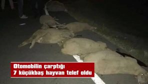 YARALI SÜRÜCÜ HASTANEYE KALDIRILDI