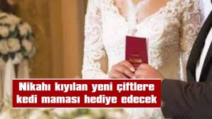 NİKAHI KIYILAN YENİ ÇİFTLERE KEDİ MAMASI HEDİYE EDECEK