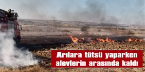 YARALANAN ARICI, HASTANEDE TEDAVİ ALTINA ALINDI