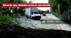 OTOMOBİLİN AĞAÇ ALTINDA KALMAKTAN SANİYELERLE KURTULMASI KAMERAYA YANSIDI