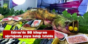 MERİÇ NEHRİ’NE ATTIĞI OLTASINA TAKILDI