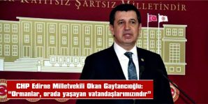 GAYTANCIOĞLU, ÇÖPKÖY’DEKİ ORMAN ALANININ ÖZEL AĞAÇLANDIRMA SAHASI OLARAK BİR FİRMAYA VERİLMESİNİ TBMM GÜNDEMİNE GETİRDİ