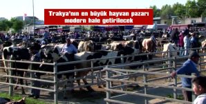 HAVSA CANLI HAYVAN PAZARI MODERN HALE GETİRİLECEK