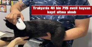 EDİRNE’DE 8 BİN 922 HAYVANA MİKROÇİP TAKILDI